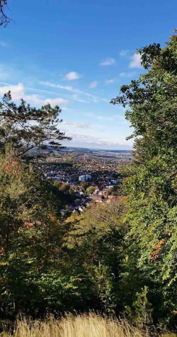 Ferienwohnung Am Burgberg In Bad Harzburg Exteriör bild